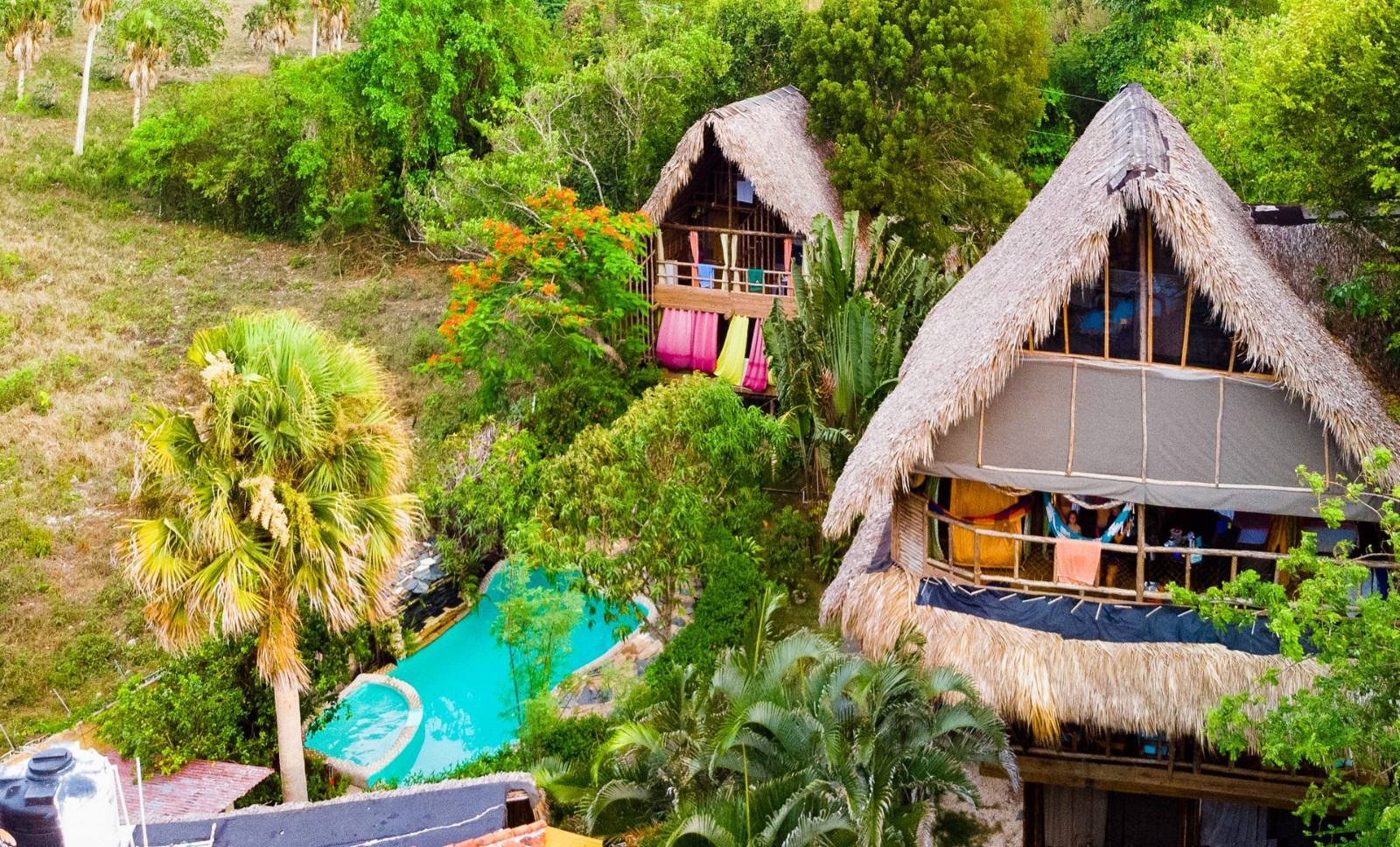Tropical gardens and palms at the ecolodge
